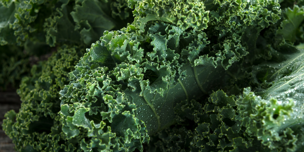 Kale & Spinach: The Ultimate Dark Leafy Greens for Health & Flavour