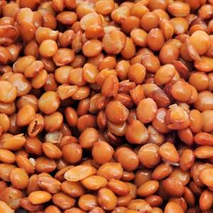 Legumes - lentils