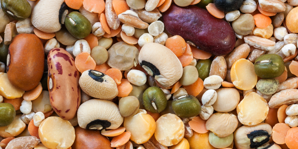 Legumes: Affordable, Nutritious, and Delicious